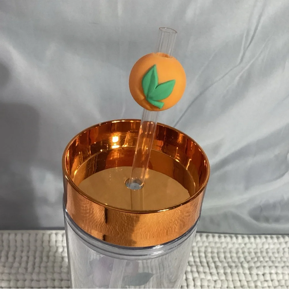 Disney Parks Orange Bird Spread Sunshine Not Shade 15oz Cup Tumbler with Straw